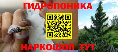 дмт Краснознаменск