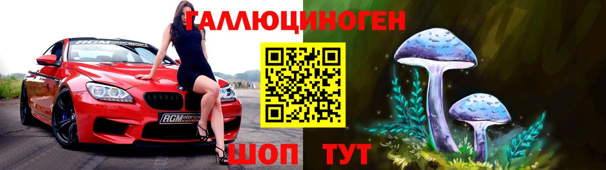 Псилоцибиновые грибы Psilocybine cubensis  Вход с VPN  Коммунар 